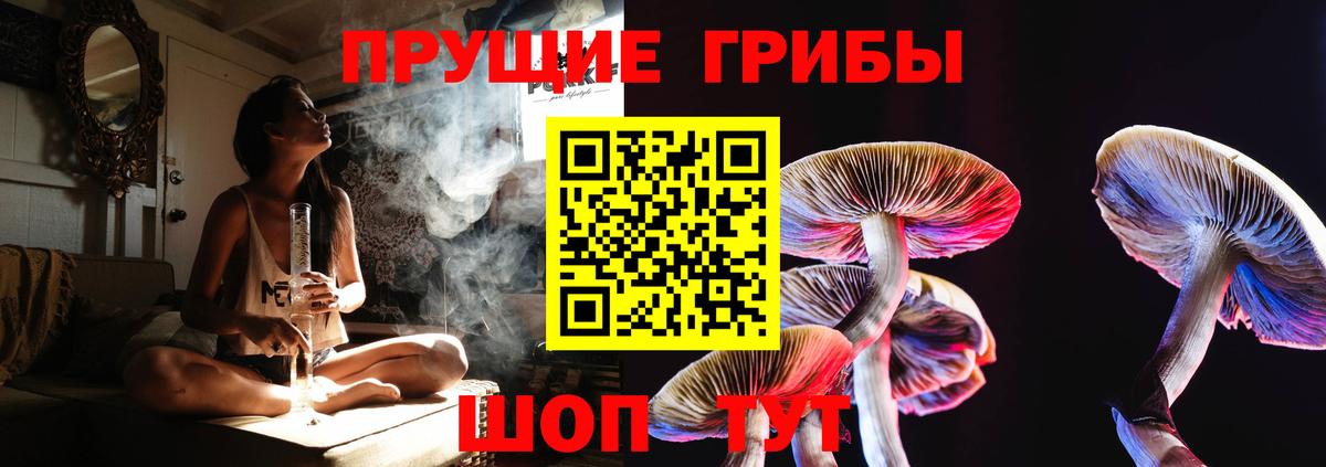 Псилоцибиновые грибы прущие грибы  Вход с VPN  Великий Новгород 